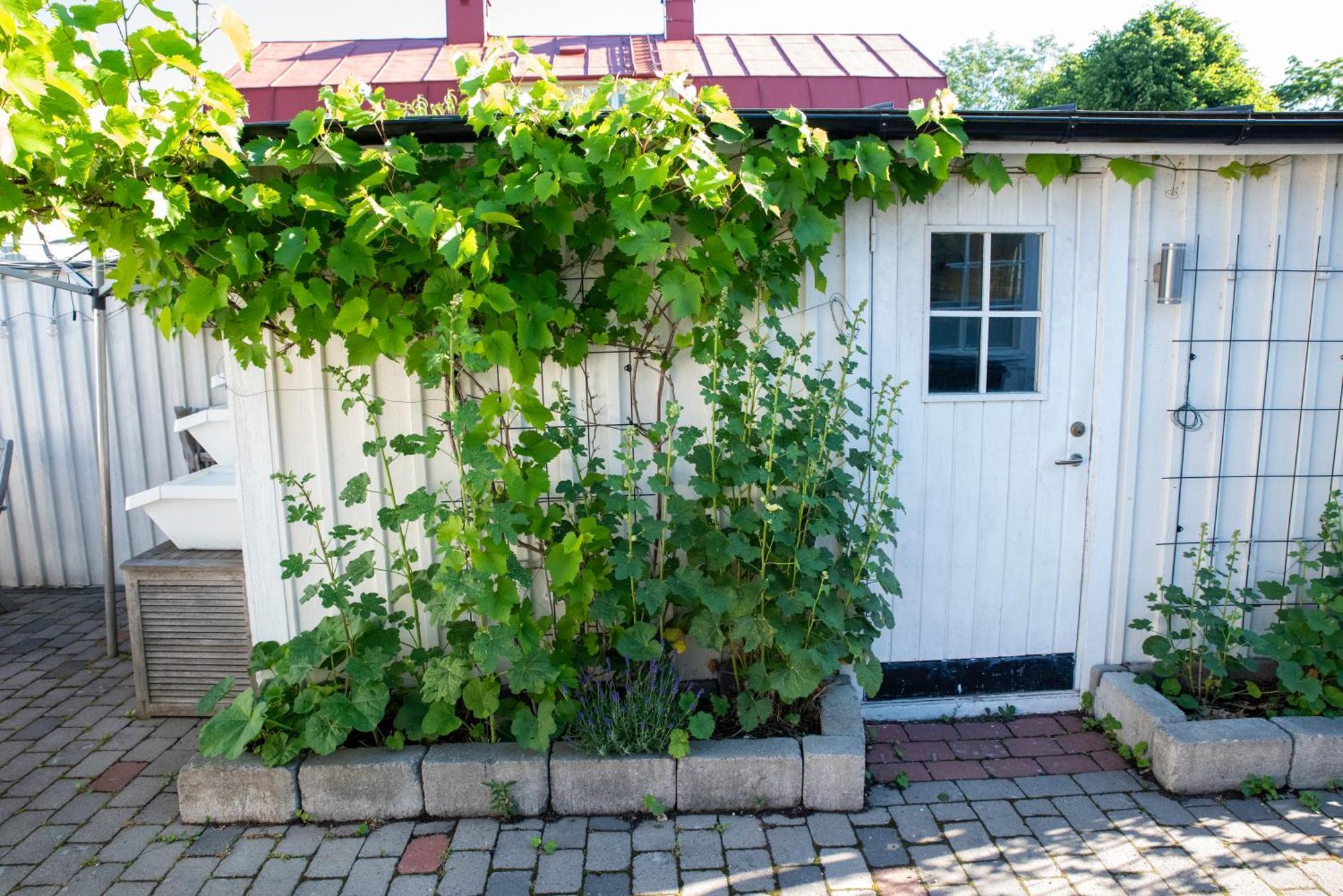 Guest House Tullgatan 24 بورغولم المظهر الخارجي الصورة